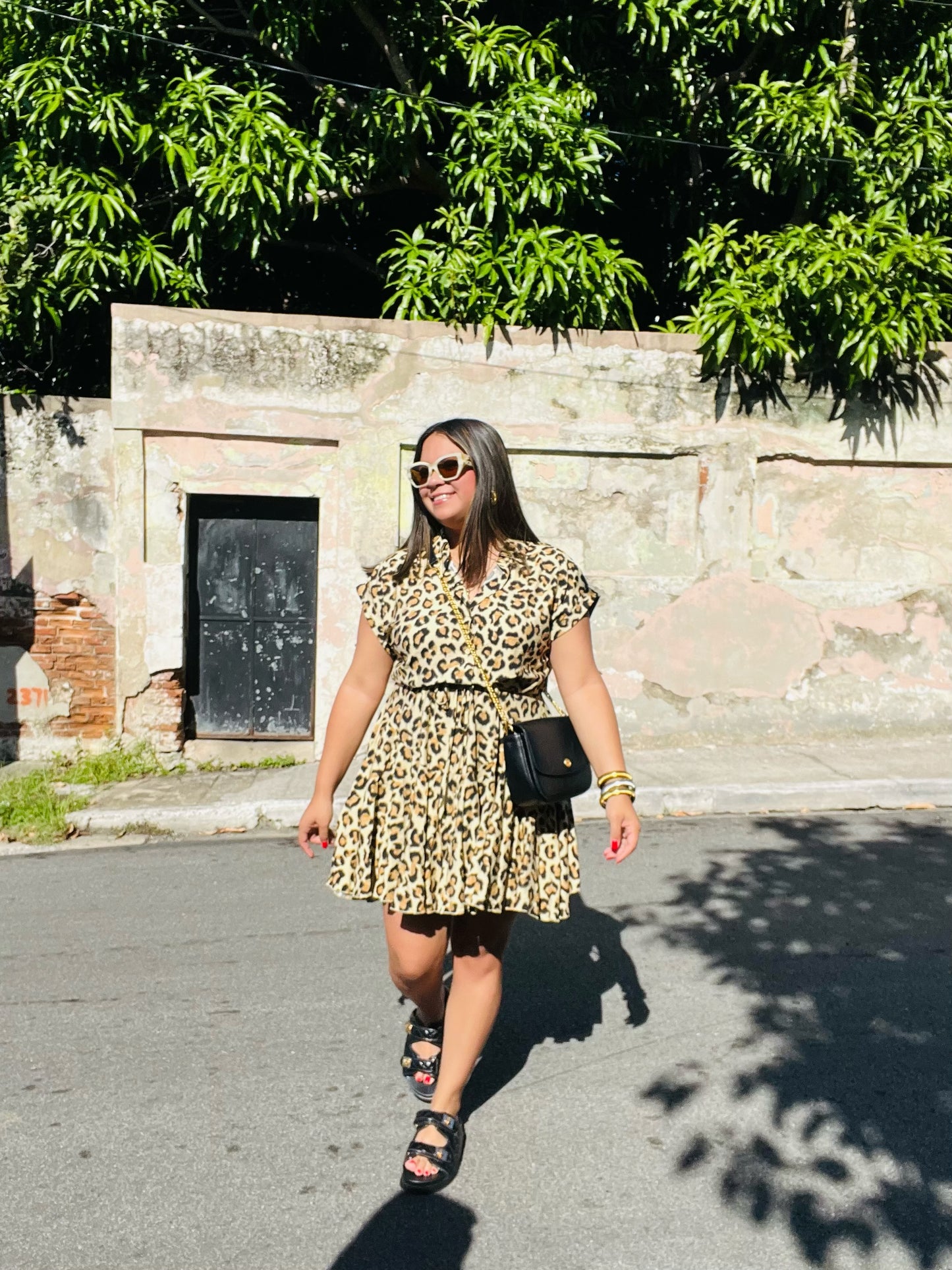 Animal Print Mini Dress